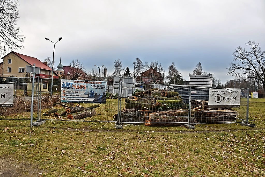 Rewitalizują miejską zieleń (FOTO)