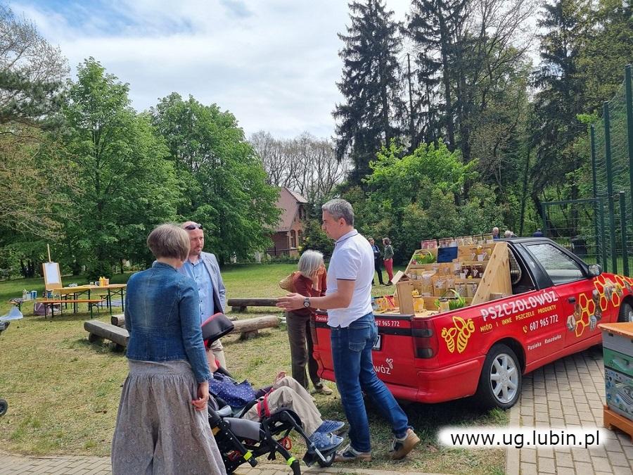 Gmina Lubin dba o pszczoły. Pomaga i edukuje